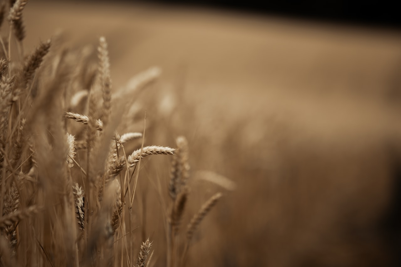 Agri-Commodities