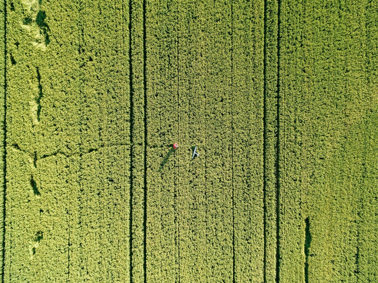 Agriculture